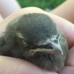 Meet your Posher, Kendra